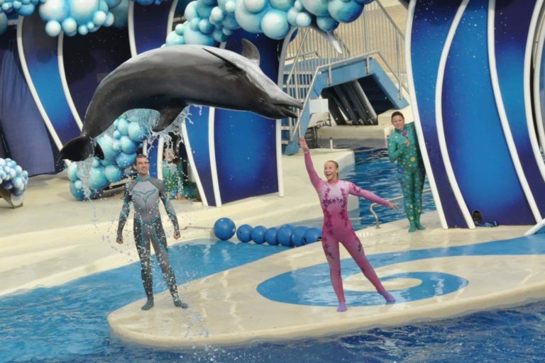SeaWorld dolphin trick